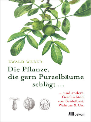 cover image of Die Pflanze, die gern Purzelbäume schlägt ...
